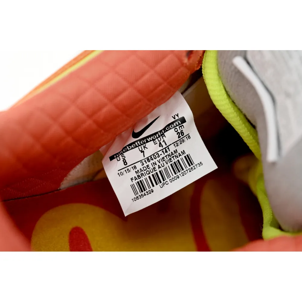 Nike Dunk Low "What the Dunk" Colorful Pigeon  318403-141