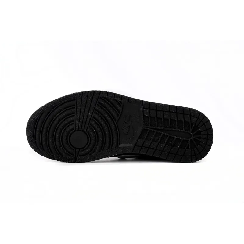 Air Jordan 1 Low Black Ash CQ0279-001
