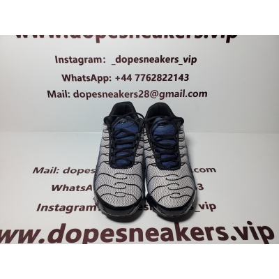 Nike Air Max Plus Midnight Navy(Nike Tn) 02