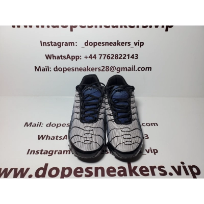 Nike Air Max Plus Midnight Navy(Nike Tn) 02