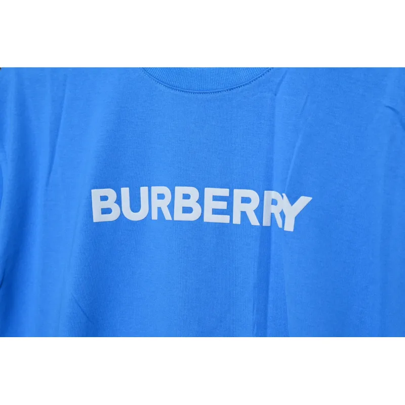 Burberry Letter Logo Print Loose Short Sleeve T-Shirt Blue