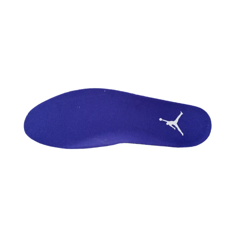 Air Jordan 5 “Concord”  DD0587-141