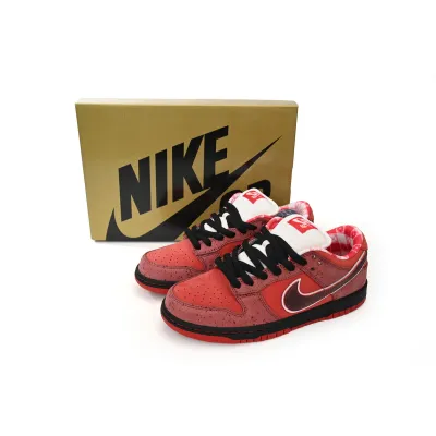Nike SB Dunk Low Concepts Red Lobster 313170-661 02