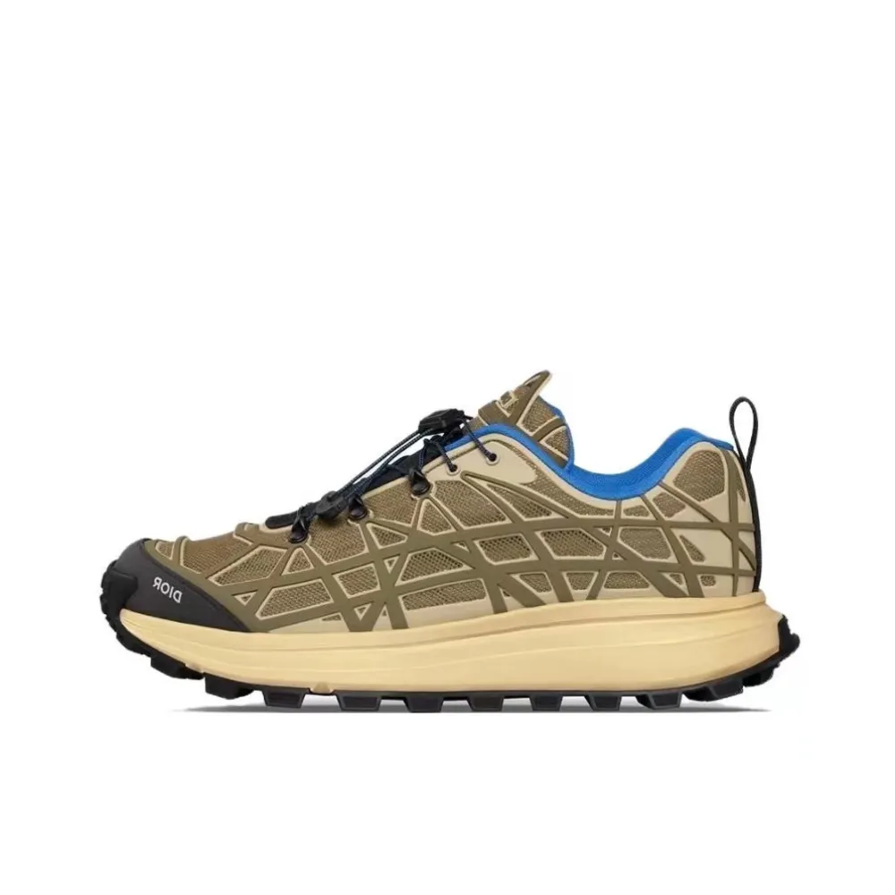 Dior B31 Runner Brown 3SN297ZUV_H167