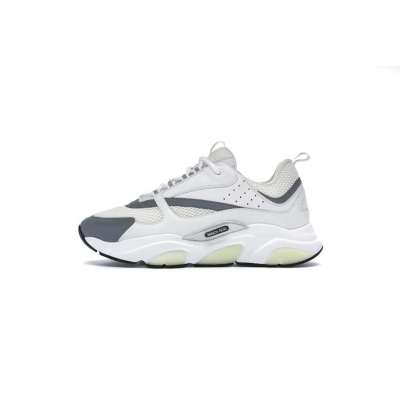 Dior B22 White Grey 01