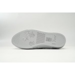 3SN272ZIR 16536 Dior B23 HT Oblique Low Rank Silver Gray