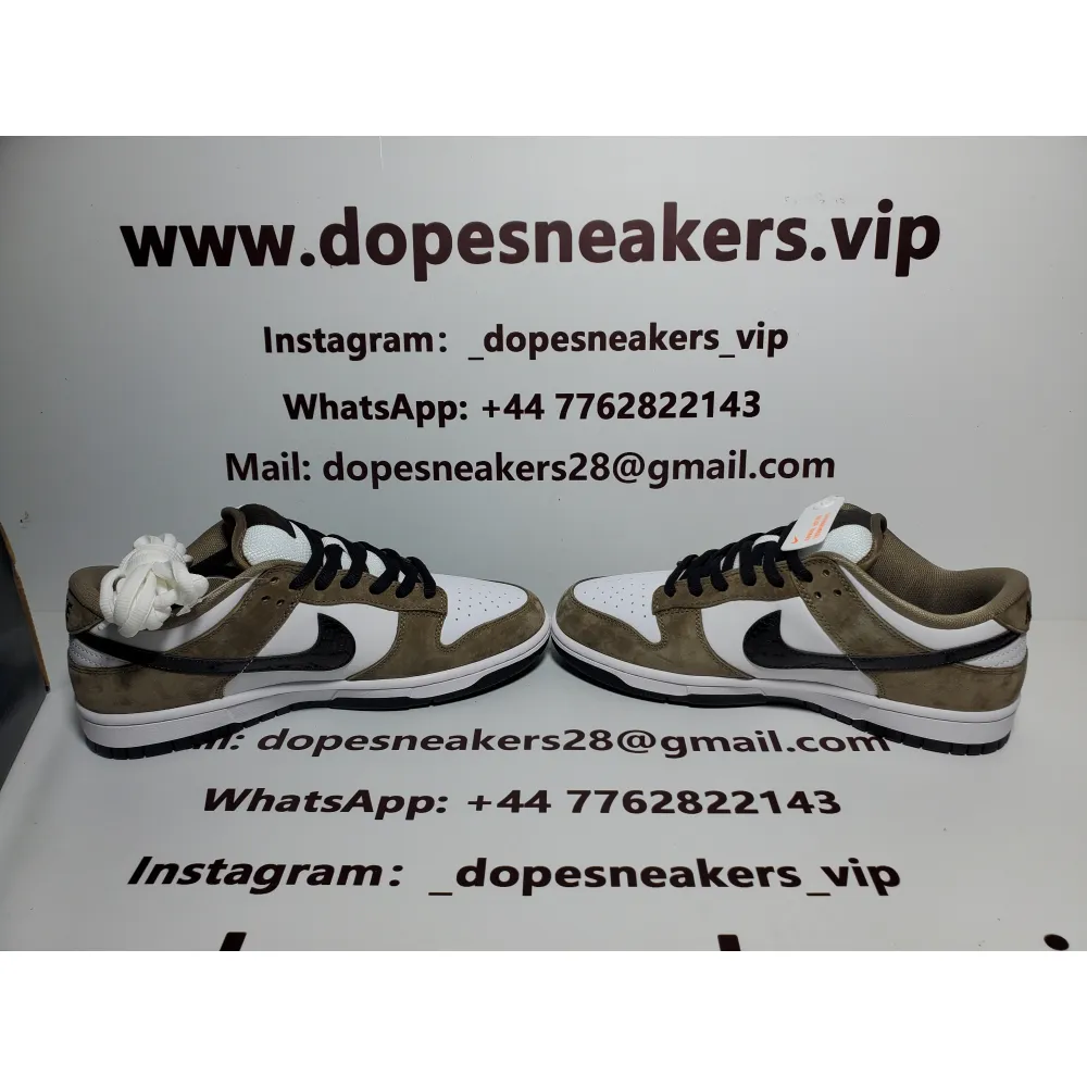 Nike SB Dunk Low Trail White Brown 304292-102