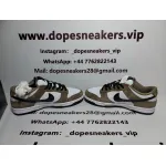 Nike SB Dunk Low Trail White Brown 304292-102