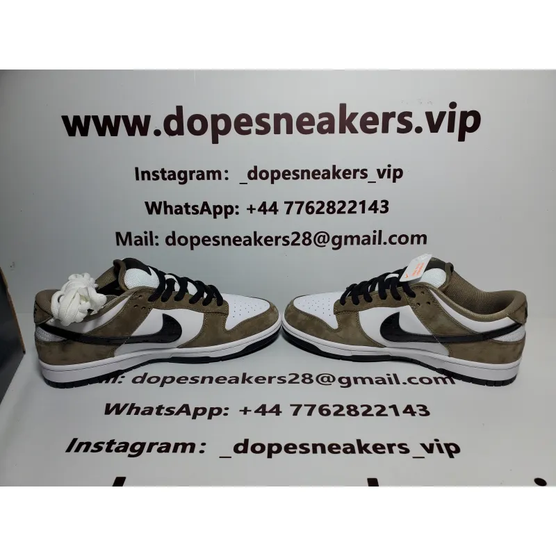 Nike SB Dunk Low Trail White Brown 304292-102