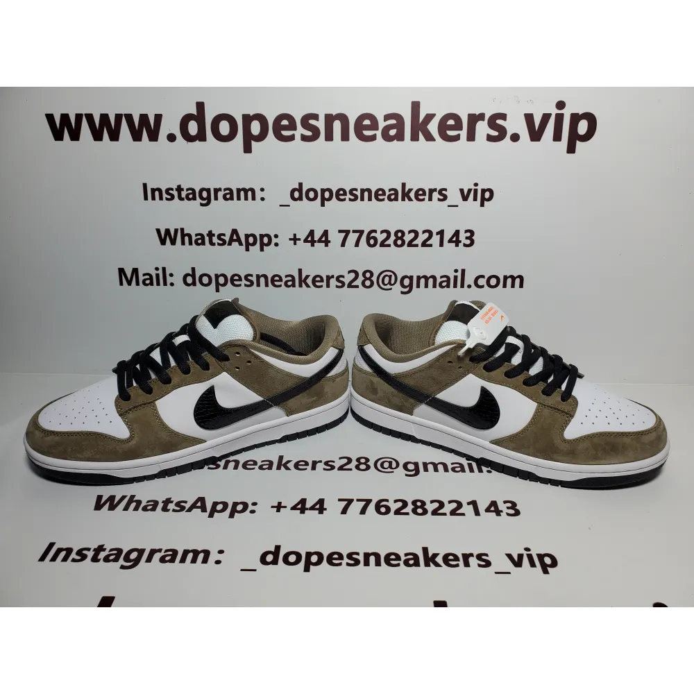 Nike SB Dunk Low Trail White Brown 304292-102