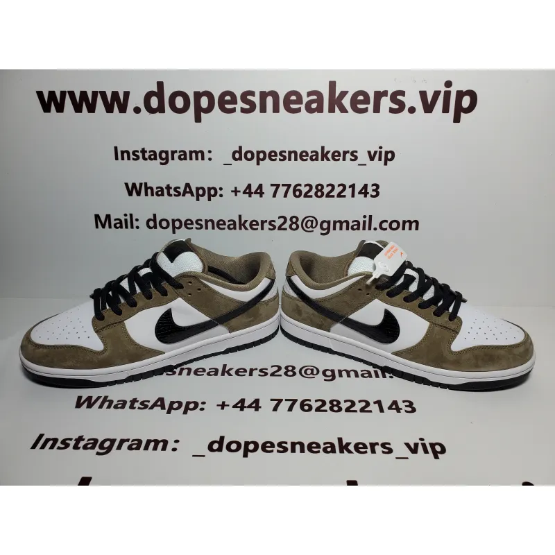Nike SB Dunk Low Trail White Brown 304292-102