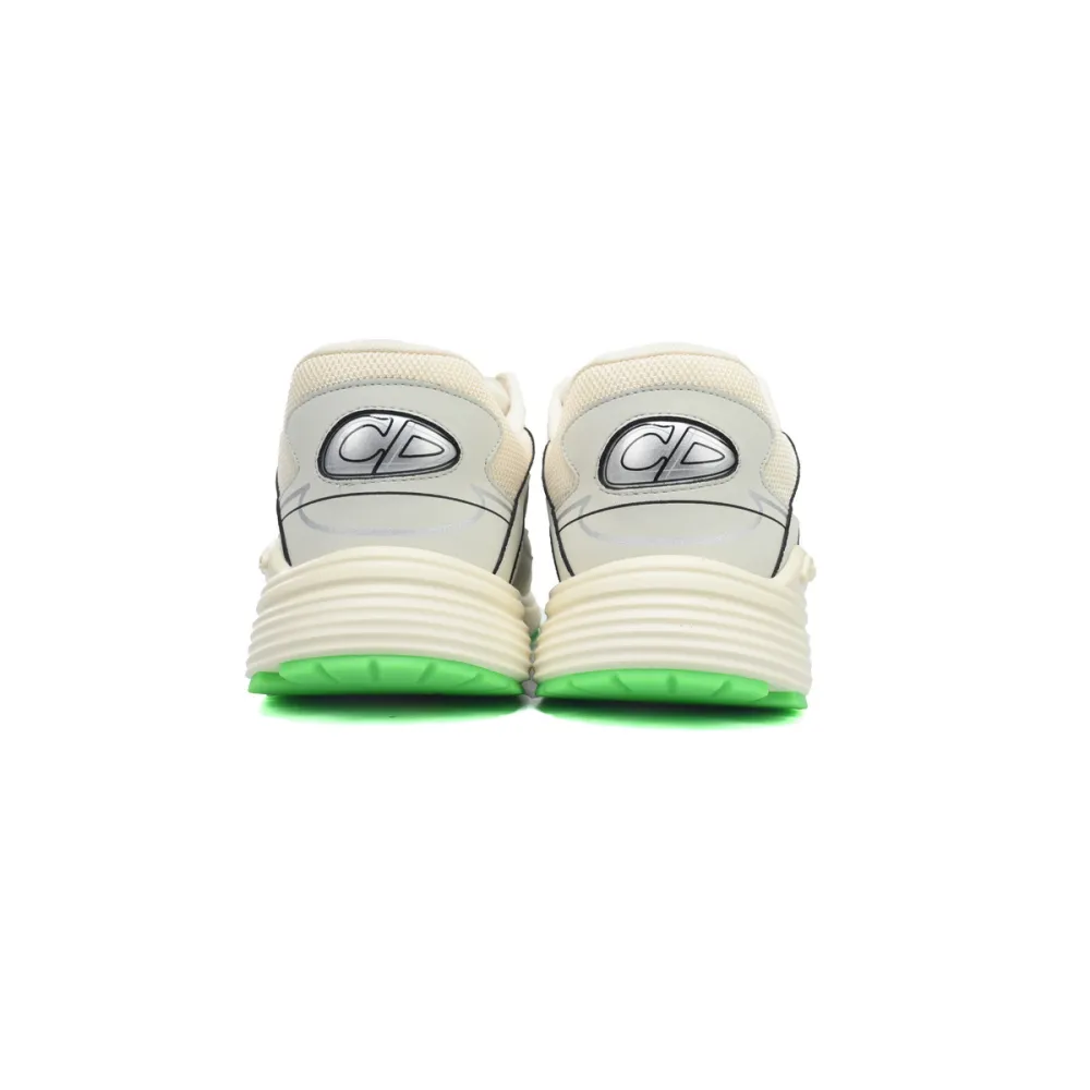 Dior B30 Reflective CD30 - Cream Green 3SN279ZRD-H166