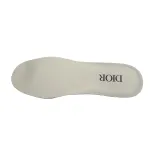 Dior B30 Reflective CD30 - Cream Green 3SN279ZRD-H166
