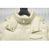 Moncler Women's Andro Detachable Hooded Short Glossy Down Jacket Cream White 