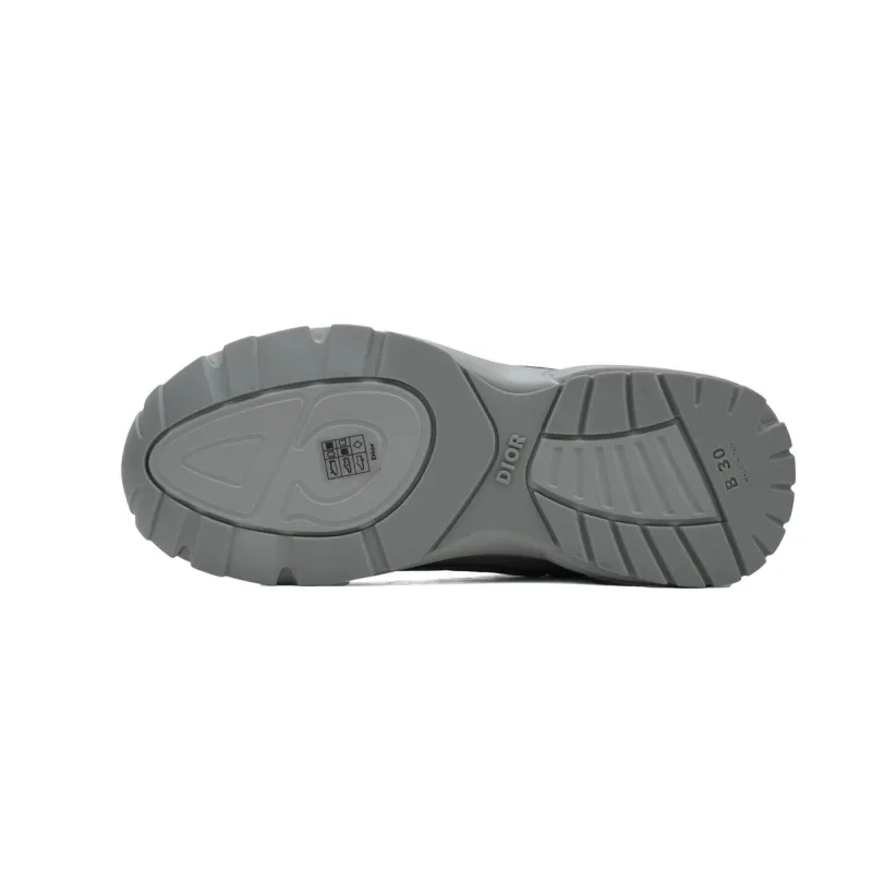 Dior B30 Sneakers Light Grey