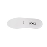 Dior B23 Oblique Hight Top Sneakers White