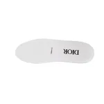 Dior B23 Oblique Hight Top Sneakers White