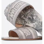 Dior Dway Gray KCQ209TJE_S21G