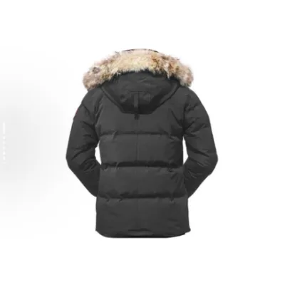 Canada Goose Red Label Wyndham Parka gray 02