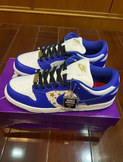 Supreme x Nike SB Dunk Low "Blue Stars” DH3228-100 review Veronica Crofts 01