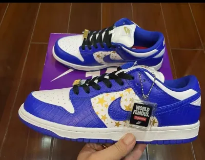 Supreme x Nike SB Dunk Low "Blue Stars” DH3228-100 review Veronica Crofts 03