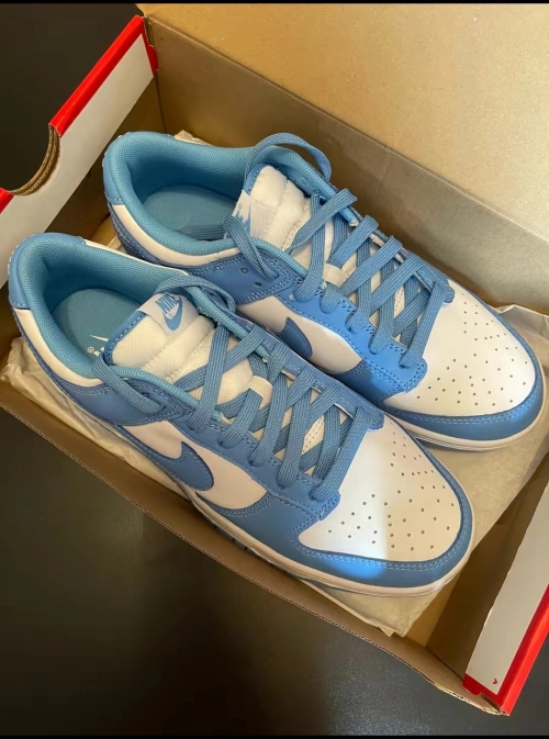 Nike Dunk Low Retro University Blue DD1391-102 review 