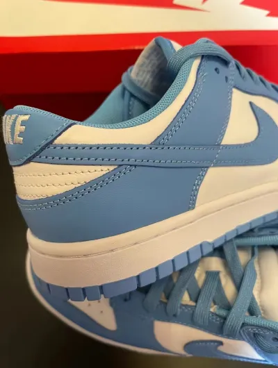 Nike Dunk Low Retro University Blue DD1391-102 review Ann Shelley 02
