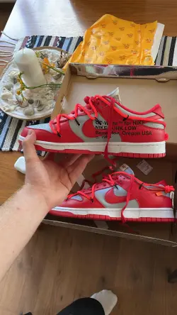 OFF White X Nike Dunk Low University Red CT0856-600 review Max Vegricht
