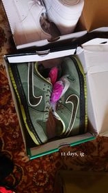 Nike Dunk Low SB Concepts Green Lobster BV1310-337 review 