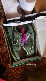 Nike Dunk Low SB Concepts Green Lobster BV1310-337 review Nicorici