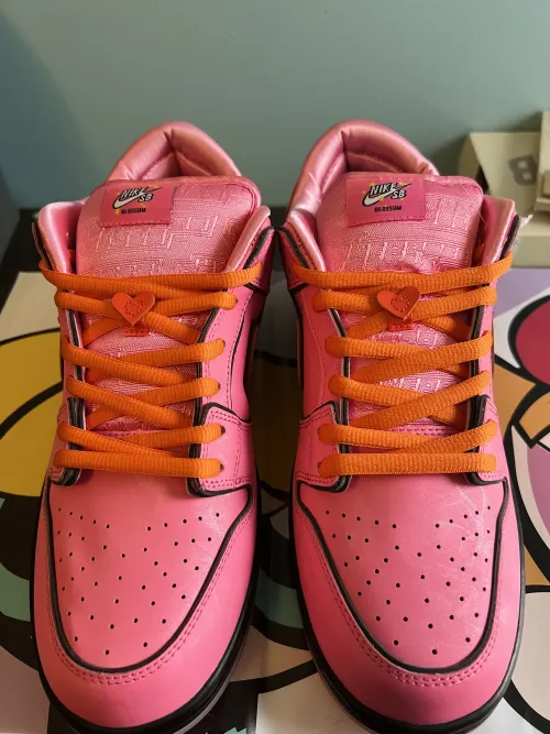 The Powerpuff Girls x Nike SB Dunk Low “Blossom” FD2631-600 review 