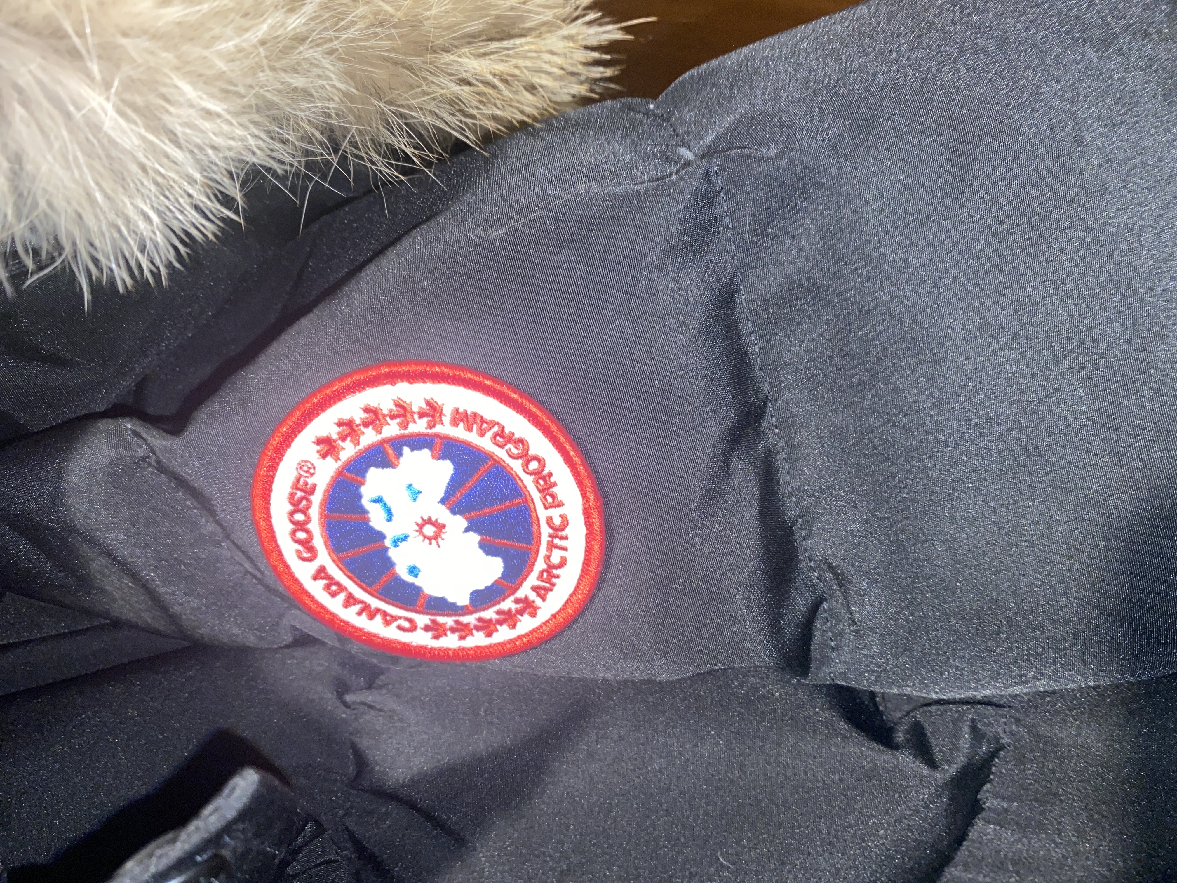  CANADA GOOSE Wyndham Black（Men's） review dave