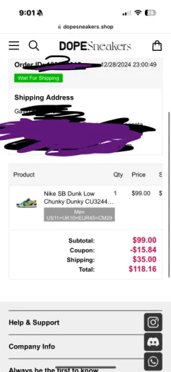 Nike SB Dunk Low Chunky Dunky CU3244-100 review Molly Grantham 01