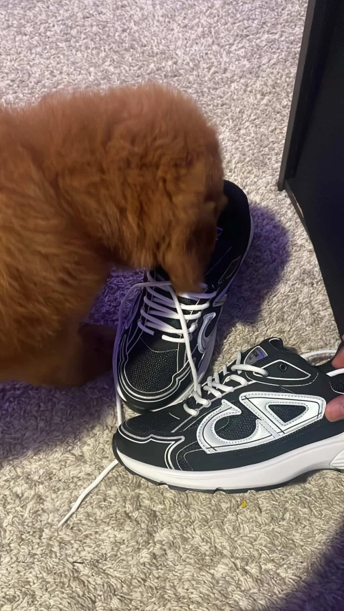 Dior B30 Black 3SN279ZMB_H969 review 