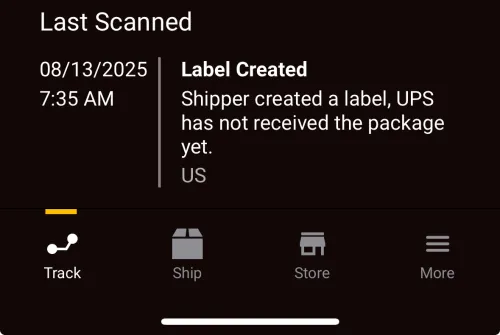 Balenciaga Runner Silver Purple Reps review 