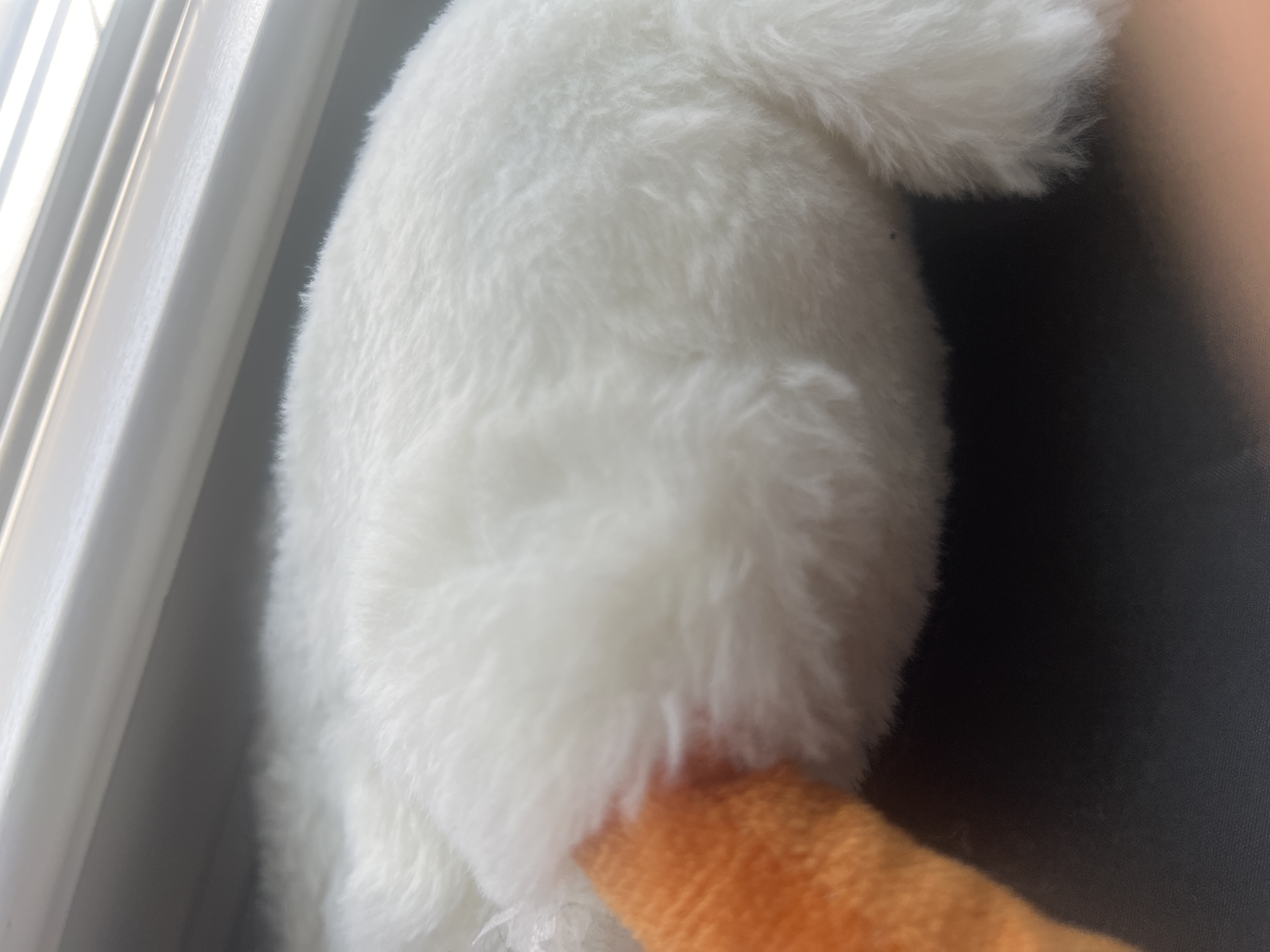  Balenciaga Track 2 Sneaker Black 570391 W2GN1 1000 review 0