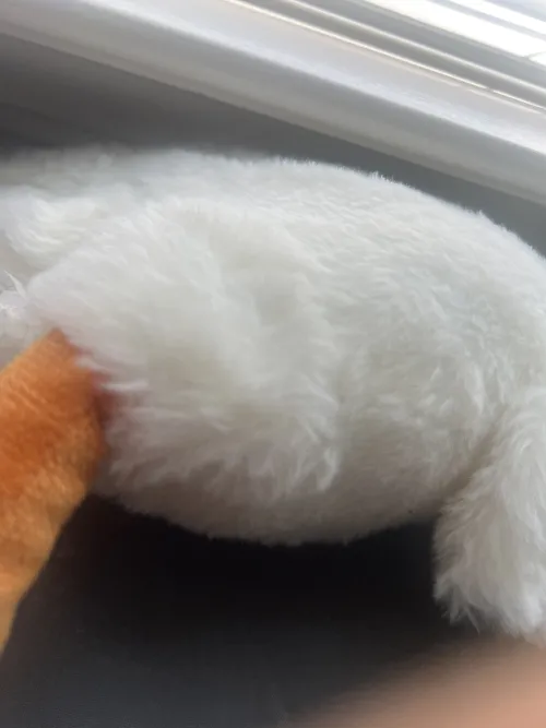  Balenciaga Track 2 Sneaker Black 570391 W2GN1 1000 review 