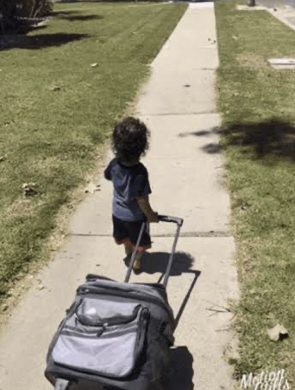 LANVIN Black Whiteand Gray review 0