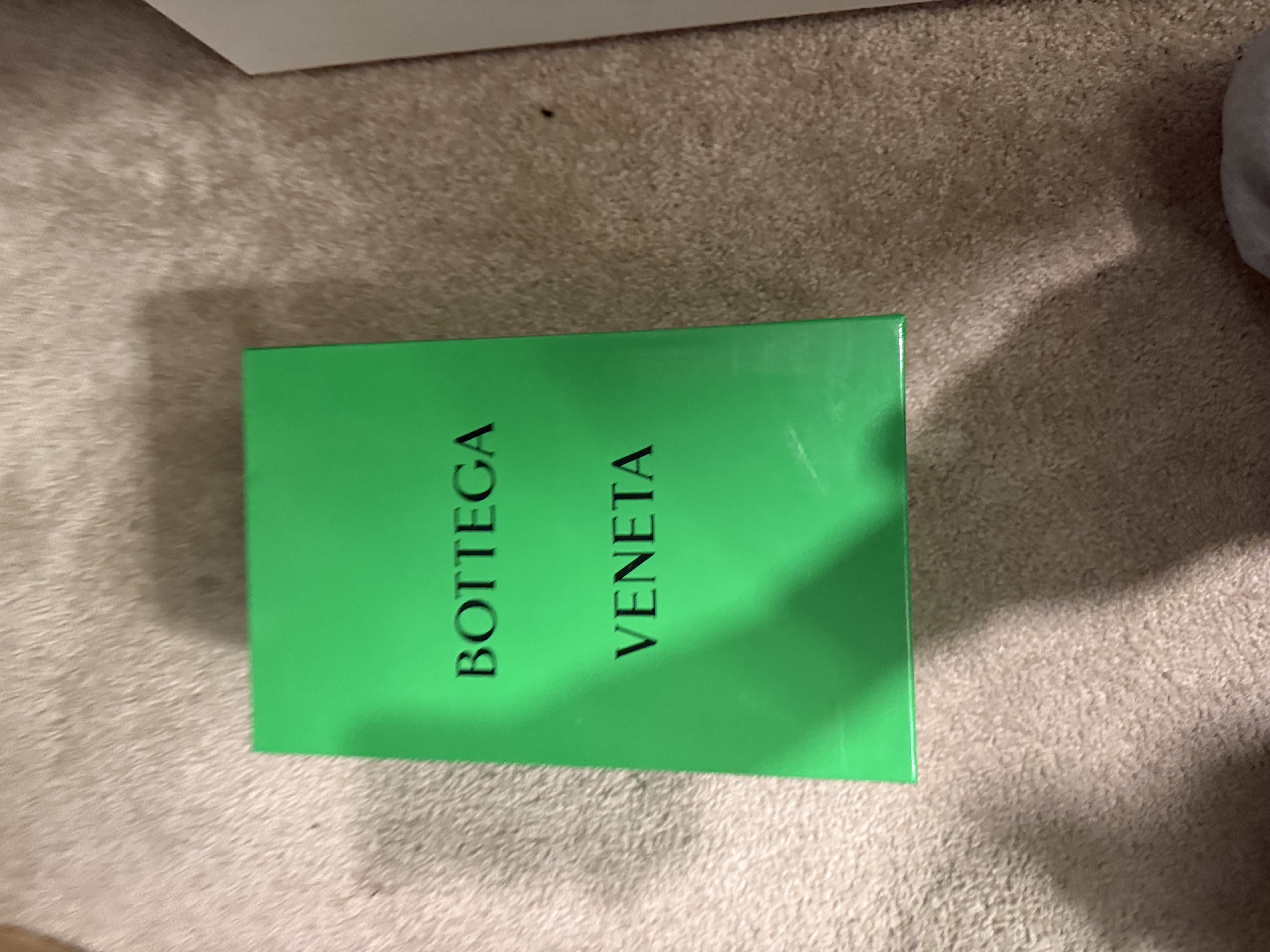 Bottega Veneta Orbit Silver  Reps review 3