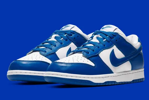 The Nike Dunk Low 