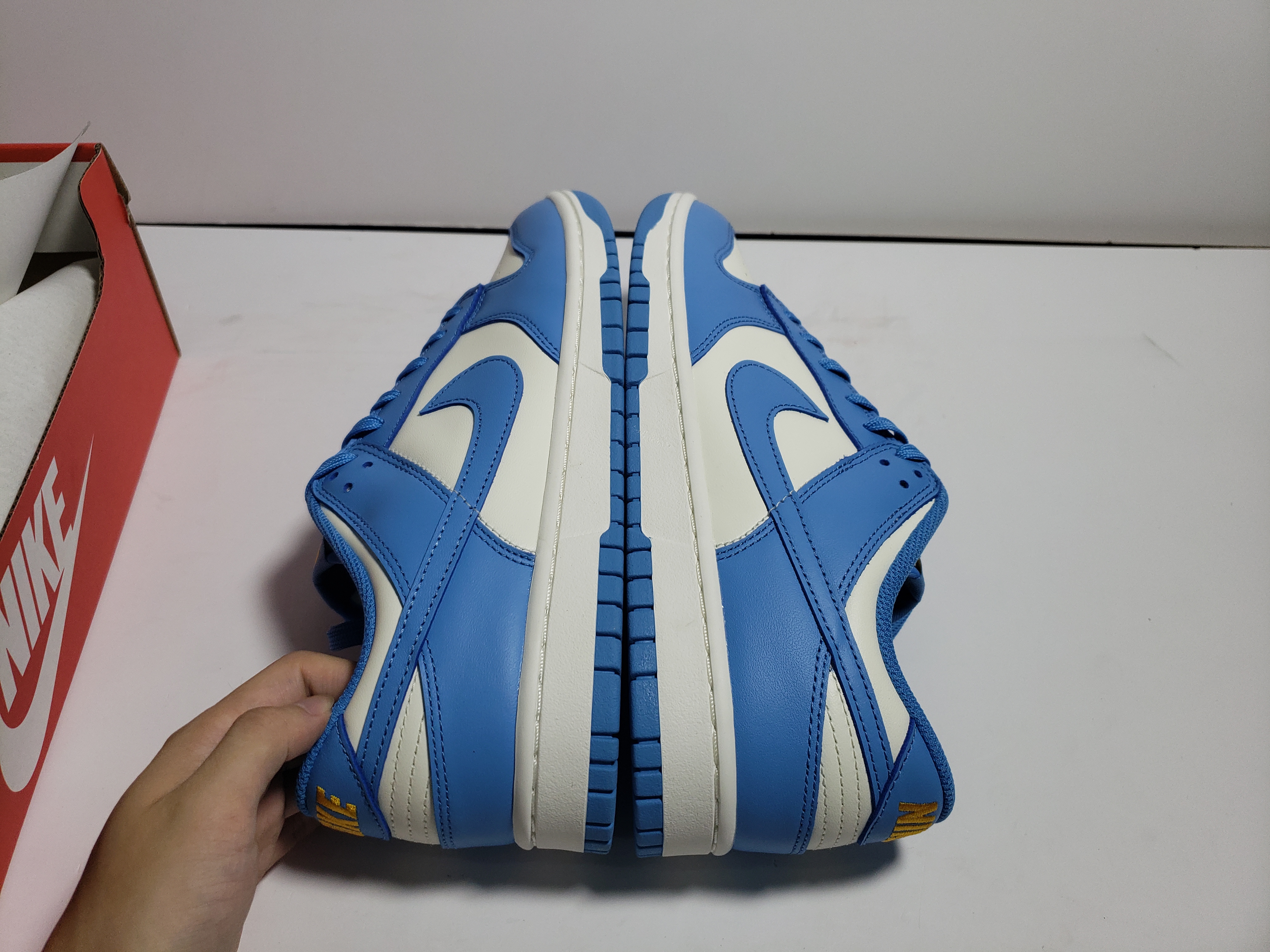 LJR Dunk SB Low Coast Blue, DD1503-100