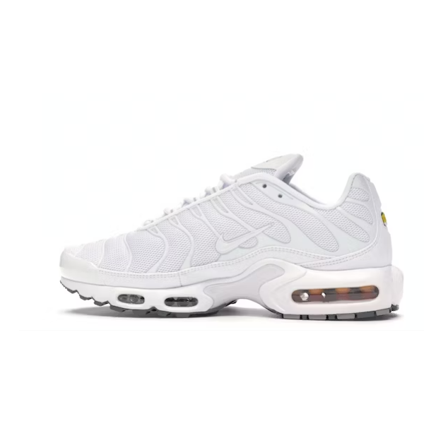 OG Air Max Plus White, 604133-139