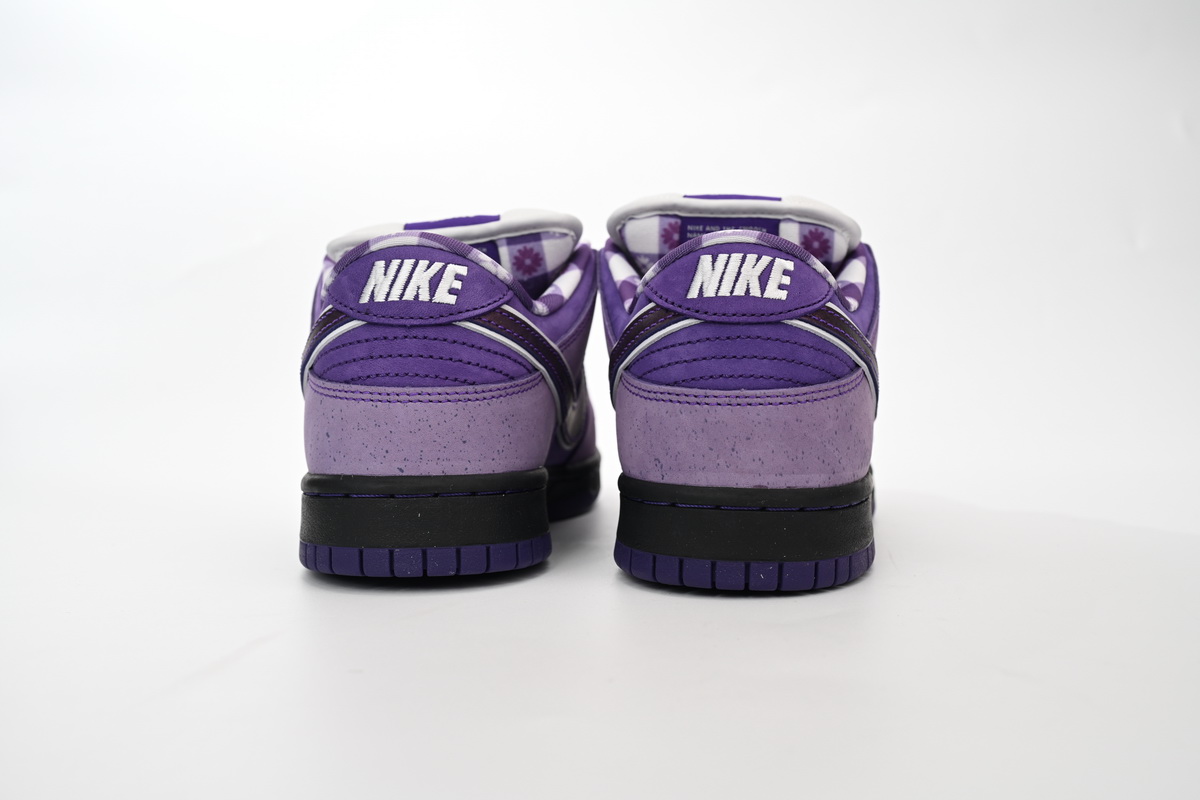 LJR Dunk SB Low Concepts Purple Lobster, BV1310-555