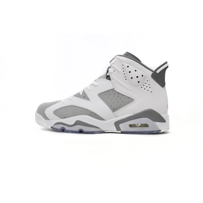 LJR Jordan 6 Retro Cool Grey,CT8529-100 01