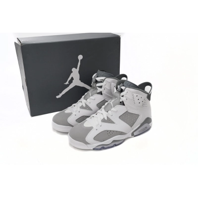 LJR Jordan 6 Retro Cool Grey,CT8529-100 02