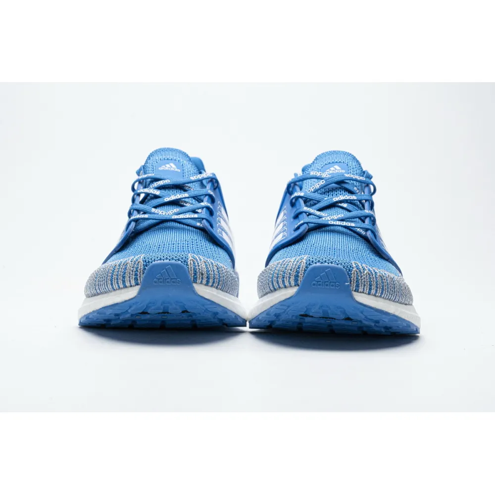 Adidas Ultra Boost 20 City Pack Sydney FX7814