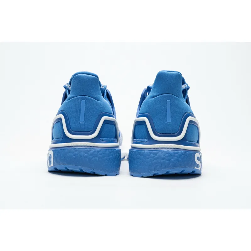 Adidas Ultra Boost 20 City Pack Sydney FX7814