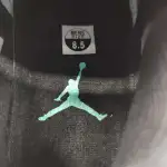 Air Jordan 11 Retro Low Iridescent 528895-145