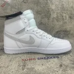 Air Jordan 1 Retro High 85 Neutral Grey BQ4422-100