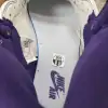 Air Jordan 1 Retro High OG White Purple 555088-115